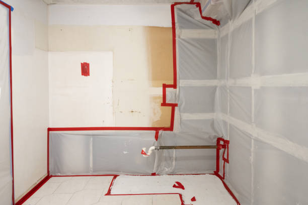 Professional Mold Removal in Perry, UT